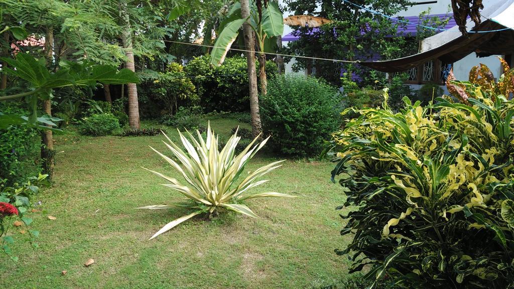 Arabian Soul Bed & Breakfast Varkala Dış mekan fotoğraf